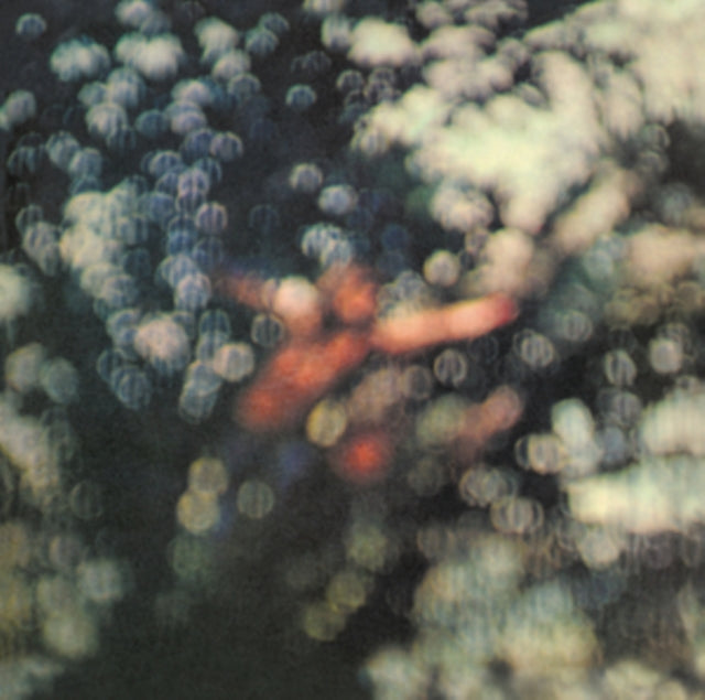 Obscured By Clouds & Division Bell
