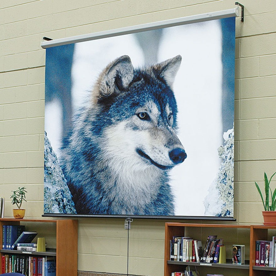 Draper Luma 94" Manual Projection Screen