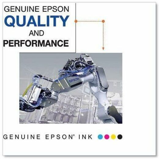 Epson Cyan Ink Cartridge (700 ml)