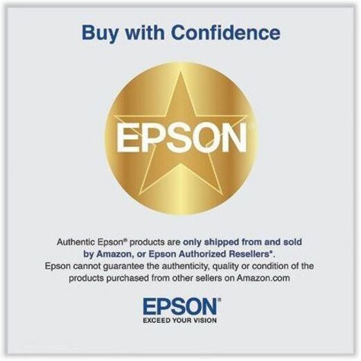 Epson Cyan Ink Cartridge (700 ml)