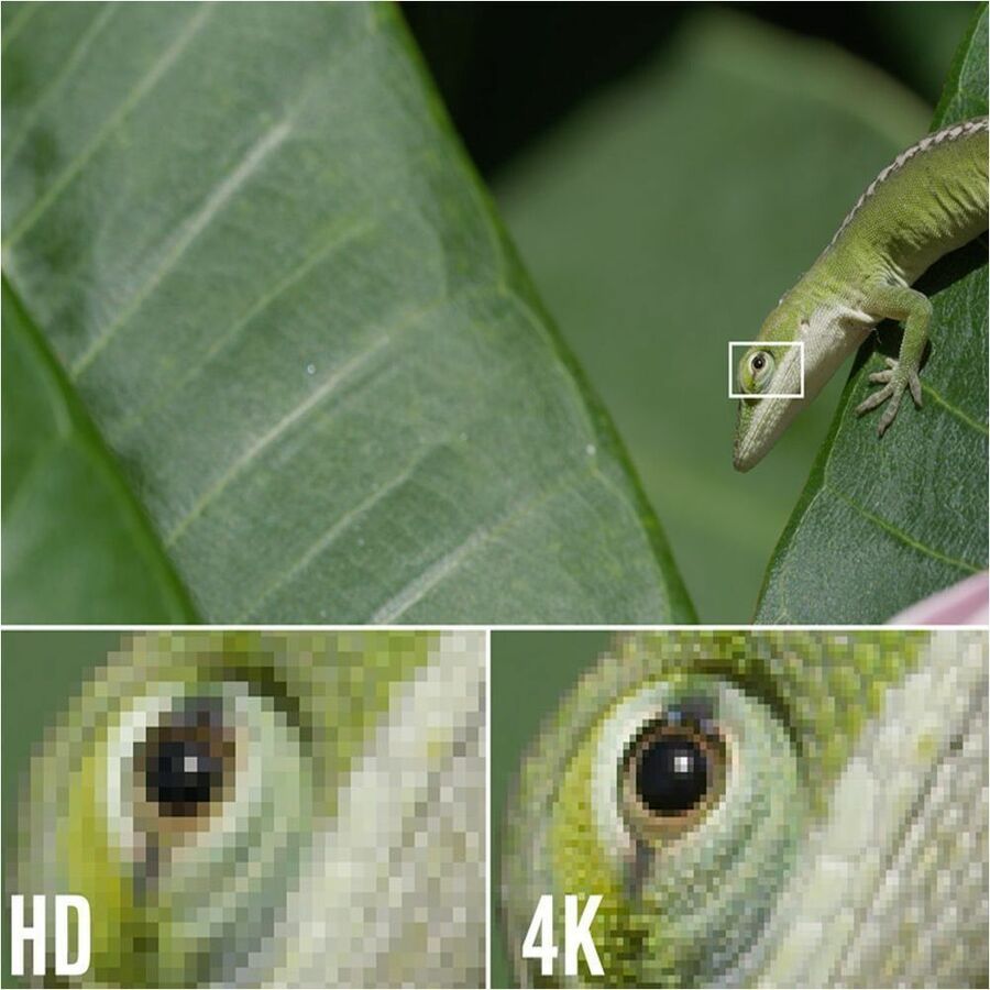 4XEM 100FT 30M High Speed HDMI cable fully supporting 1080p 3D, Ethernet and Audio return channel