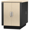 Schneider APC by Schneider Electric NetShelter CX 18U Secure Soundproof Server Room in a Box Enclosure, AR4018A