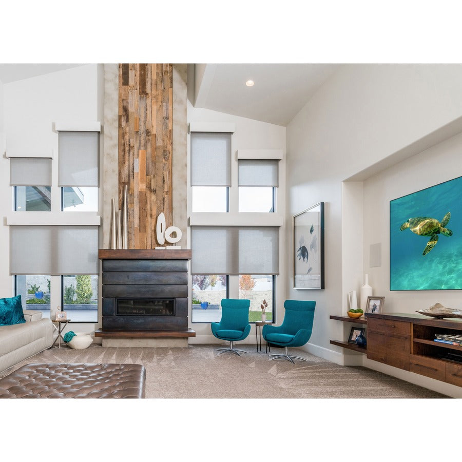 Draper Profile+ 161" Projection Screen