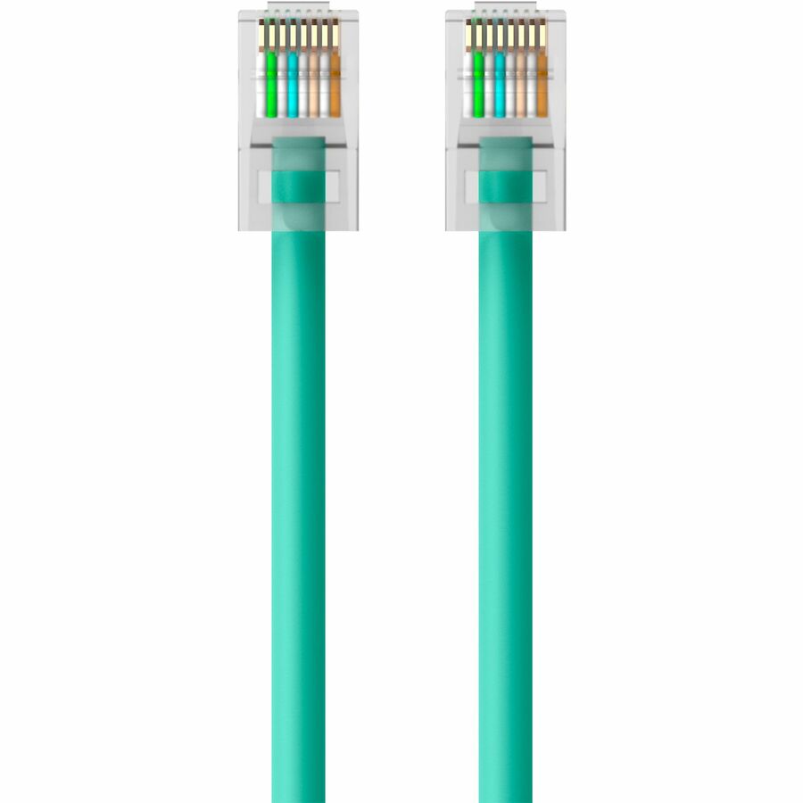 Belkin CAT6 Ethernet Patch Cable, RJ45, M/M