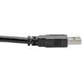 Eaton Tripp Lite Series USB 3.0 SuperSpeed A/A Cable (M/M), Black, 6 ft. (1.83 m)