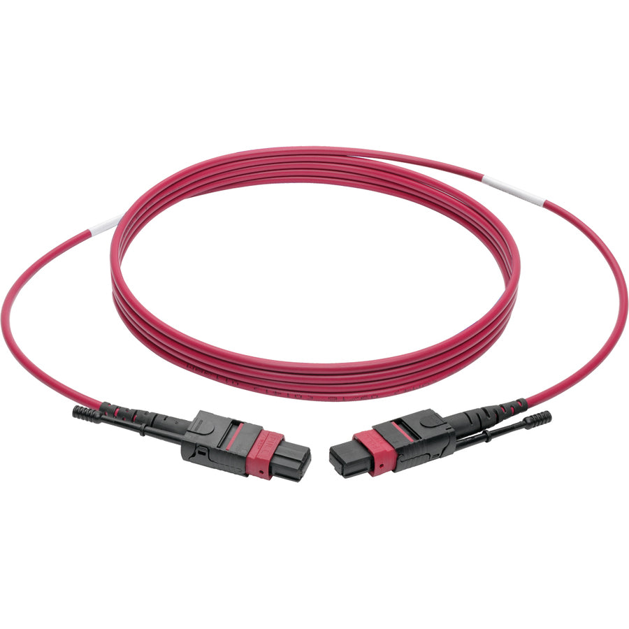 Eaton Tripp Lite Series 100G MTP/MPO Multimode OM4 Plenum-Rated Fiber Optic Cable (F/F), 12 Fiber, 40/100GBASE-SR4, Push/Pull Tabs, Magenta, 1 m
