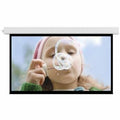Da-Lite Advantage Projection Screen - Projector Screen with Plenum-Rated Case and Trim - 94in