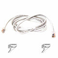 Belkin Cat6 Cable Copper Gold Male