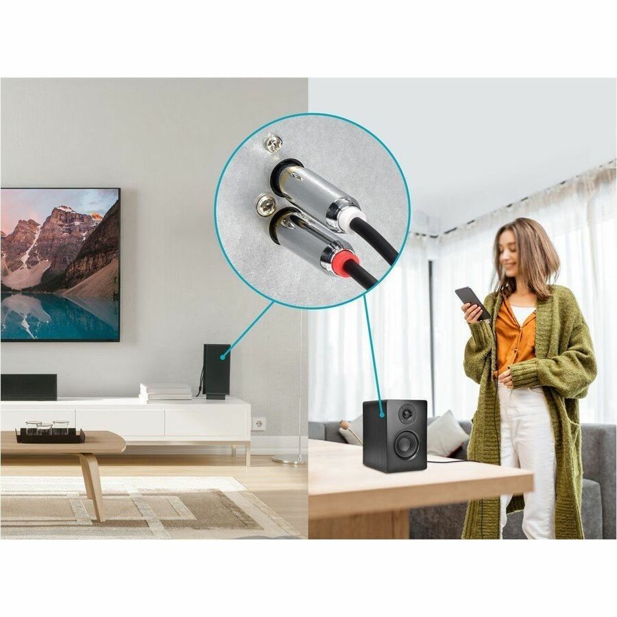 Monoprice Mini-phone/RCA Audio Cable, Black, 6 ft