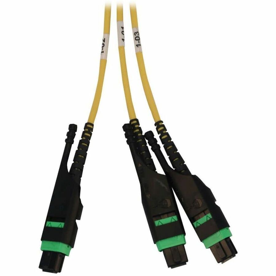Eaton Tripp Lite Series Preloaded Fiber Panel, 1U - 2x (3x8F MTP/MPO-APC F/F) 24F Trunk Cables, OS2 Singlemode, 20 m (65.6 ft.)
