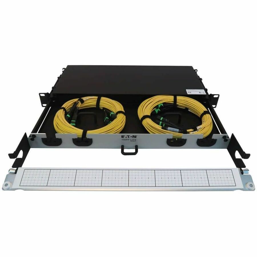 Eaton Tripp Lite Series Preloaded Fiber Panel, 1U - 2x (3x8F MTP/MPO-APC F/F) 24F Trunk Cables, OS2 Singlemode, 20 m (65.6 ft.)