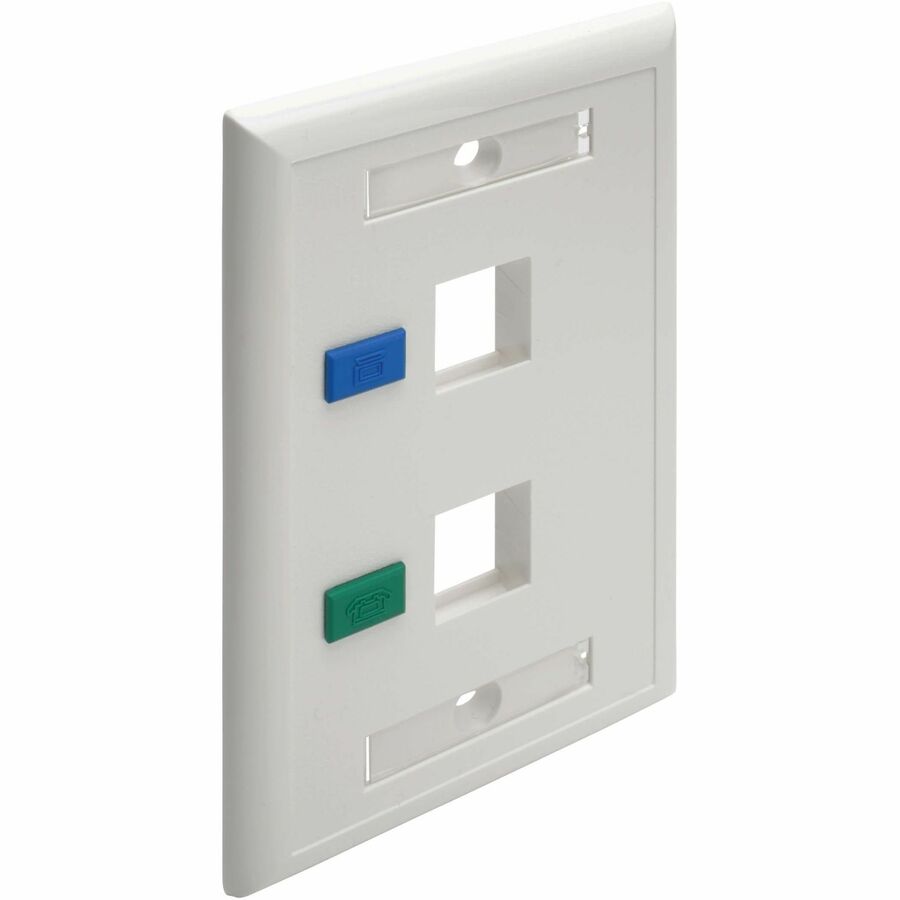 Eaton Tripp Lite Series 2-Port Keystone Faceplate, Single Gang, ID Labels, White, TAA