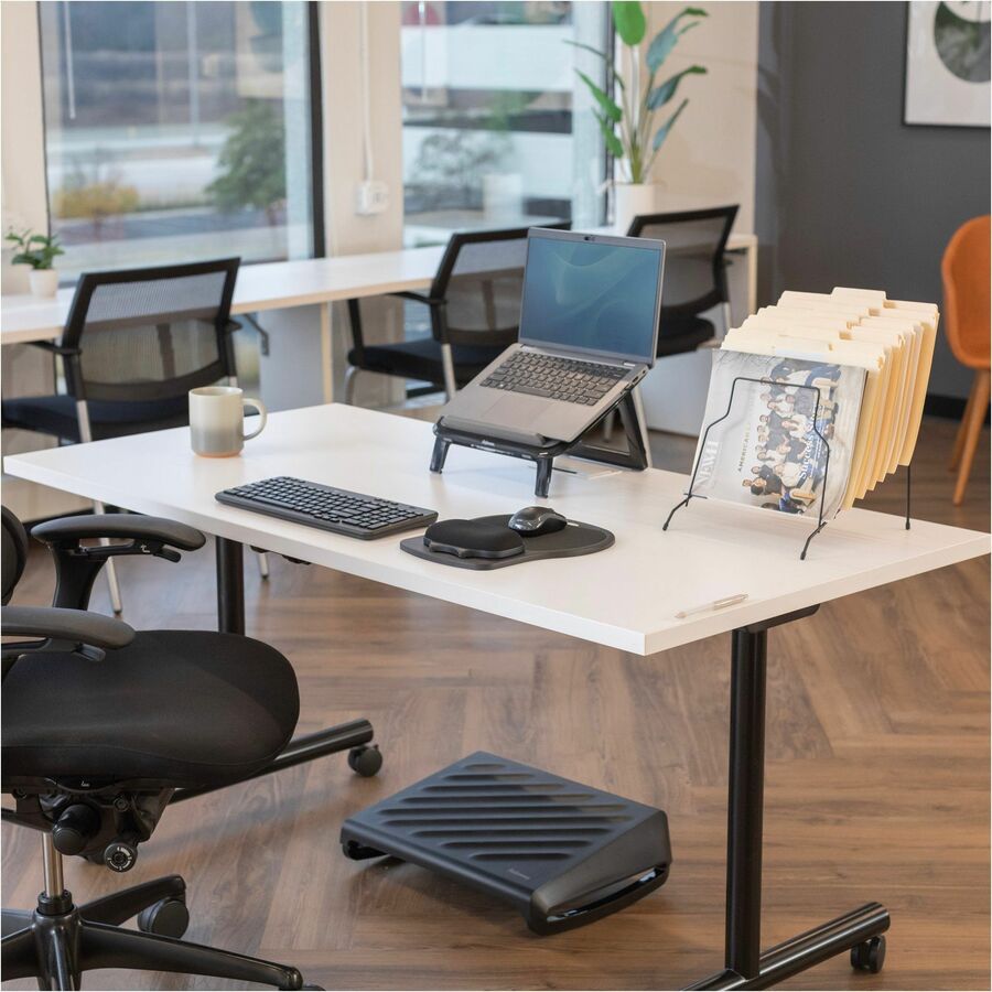 Fellowes Wire Step File Organizer