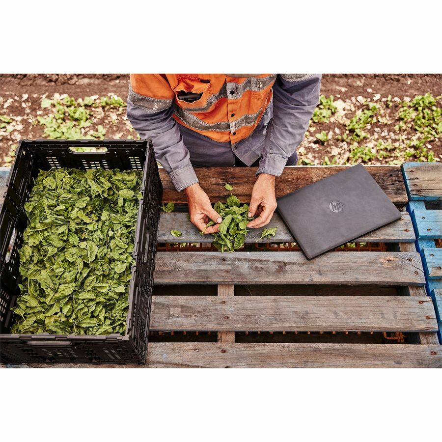 HP ProBook Fortis 14 G9 14" Notebook - Full HD - Intel Pentium Silver N6000 - 8 GB - 256 GB SSD - Jack Black