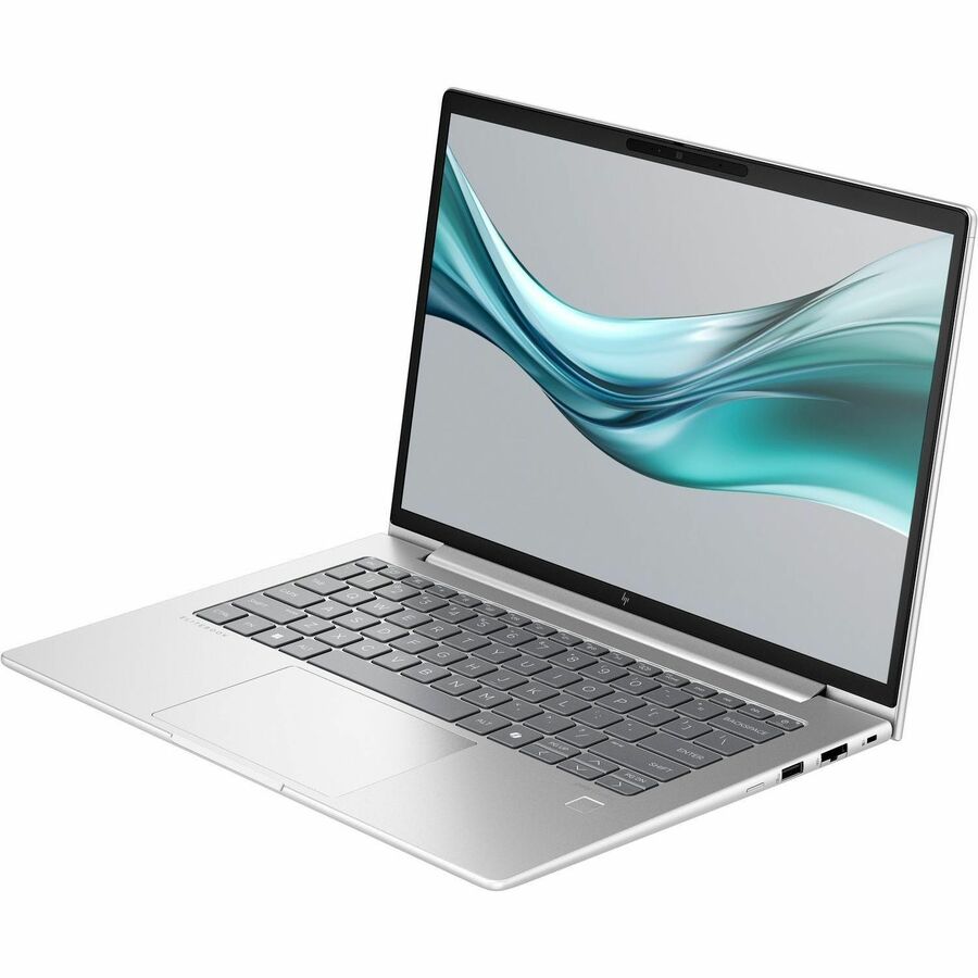 HP EliteBook 645 G11 14" Notebook - WUXGA - AMD Ryzen 3 7335U - 16 GB - 256 GB SSD - Pike Silver