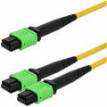 AddOn 7m AMPO-12 to 2xMPO Yellow OS2 OFNR (Riser-Rated) 12-Strand SMF Fiber Patch Cable