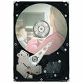 Seagate DB35 ST3250823ACE 250 GB Hard Drive - 3.5" Internal - IDE (IDE Ultra ATA/100 (ATA-6))