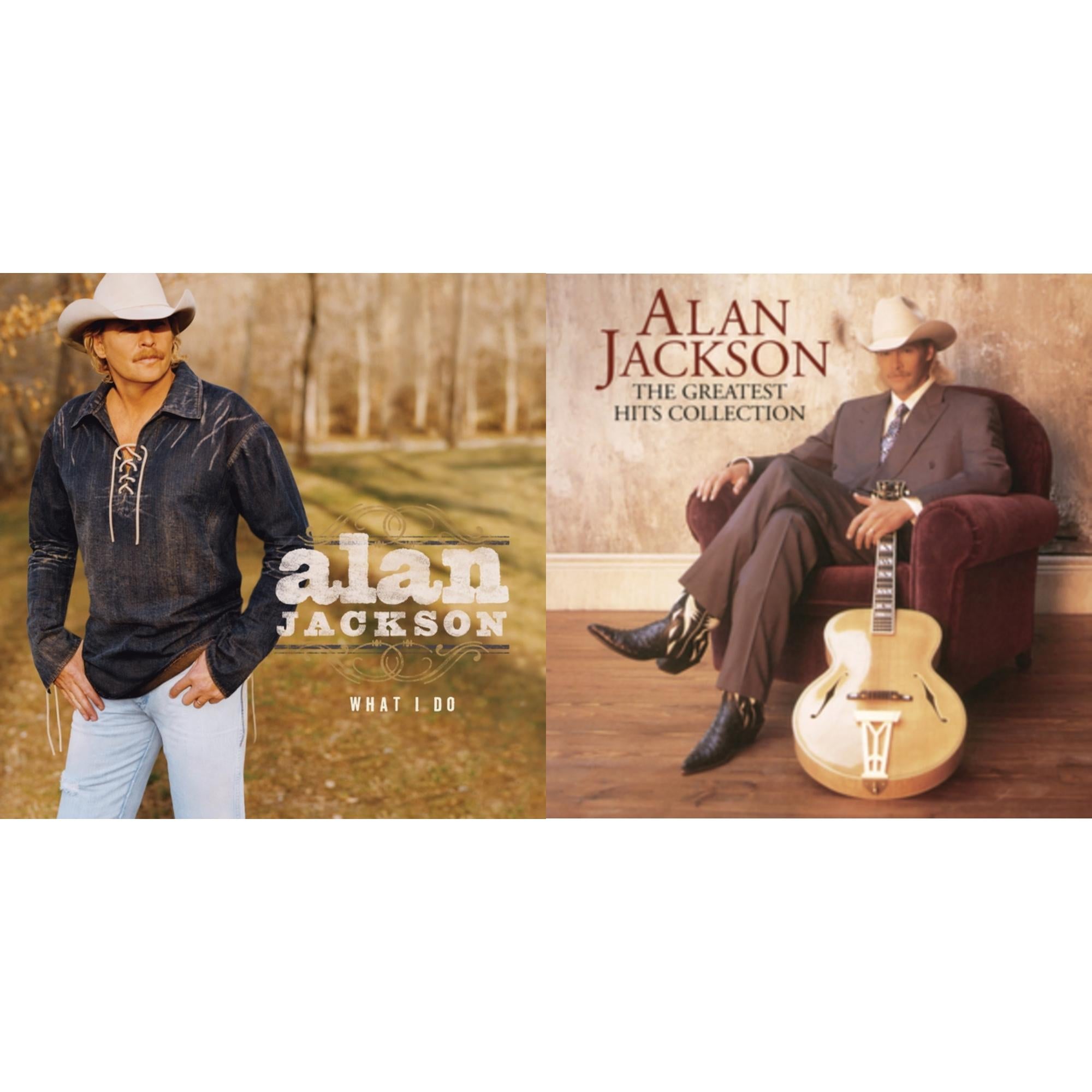 Greatest Hits Collection (2LP) & What I Do