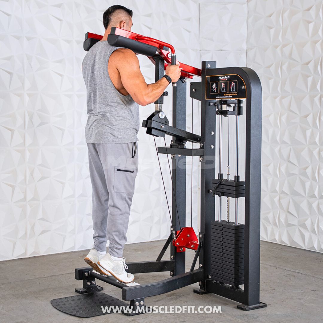 Classic V2 Selectorized Standing Calf Raise Machine – Muscle D Fitness