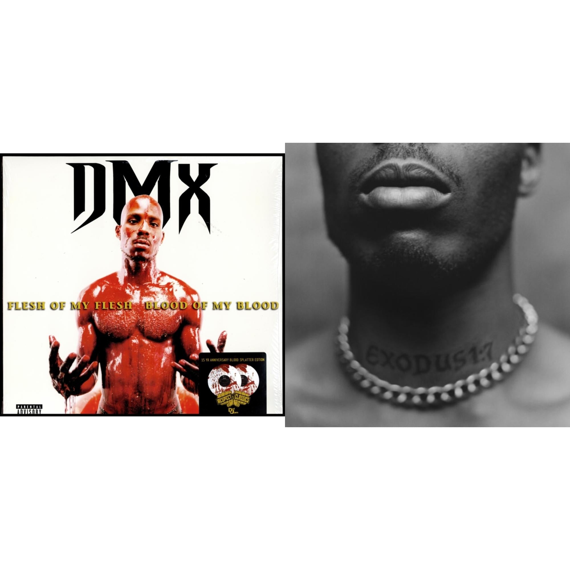 Dmx - Exodus (X) & Flesh Of My Fleshblood Of My Blood - LP Vinyl Bundle