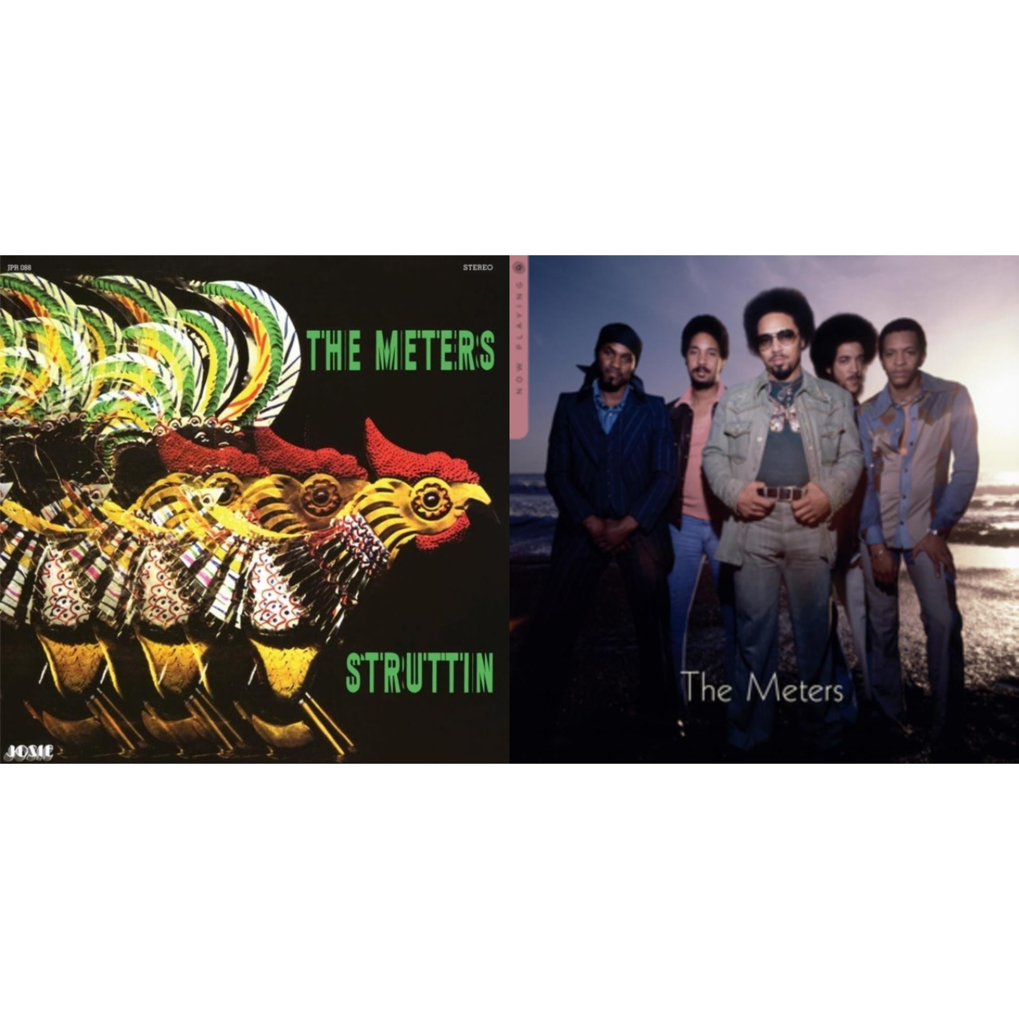 Now Playing & Struttin' (Blue Jay LP Vinyl)