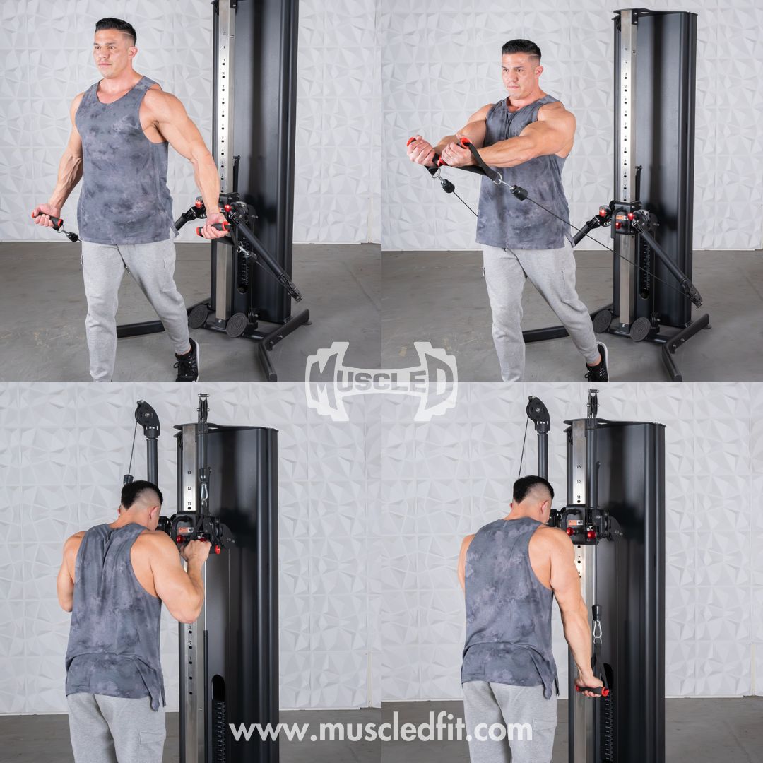 Dual Adjustable Functional Trainer | Muscle D Fitness Full-Body Machine