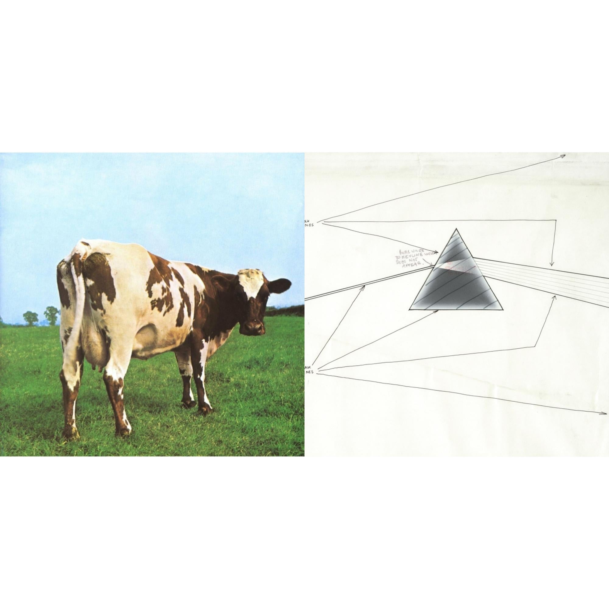 Dark Side Of The Moon Live At Wembley Empire Pool 1974 & Atom Heart Mother (180G/Gatefold/2016 Version)
