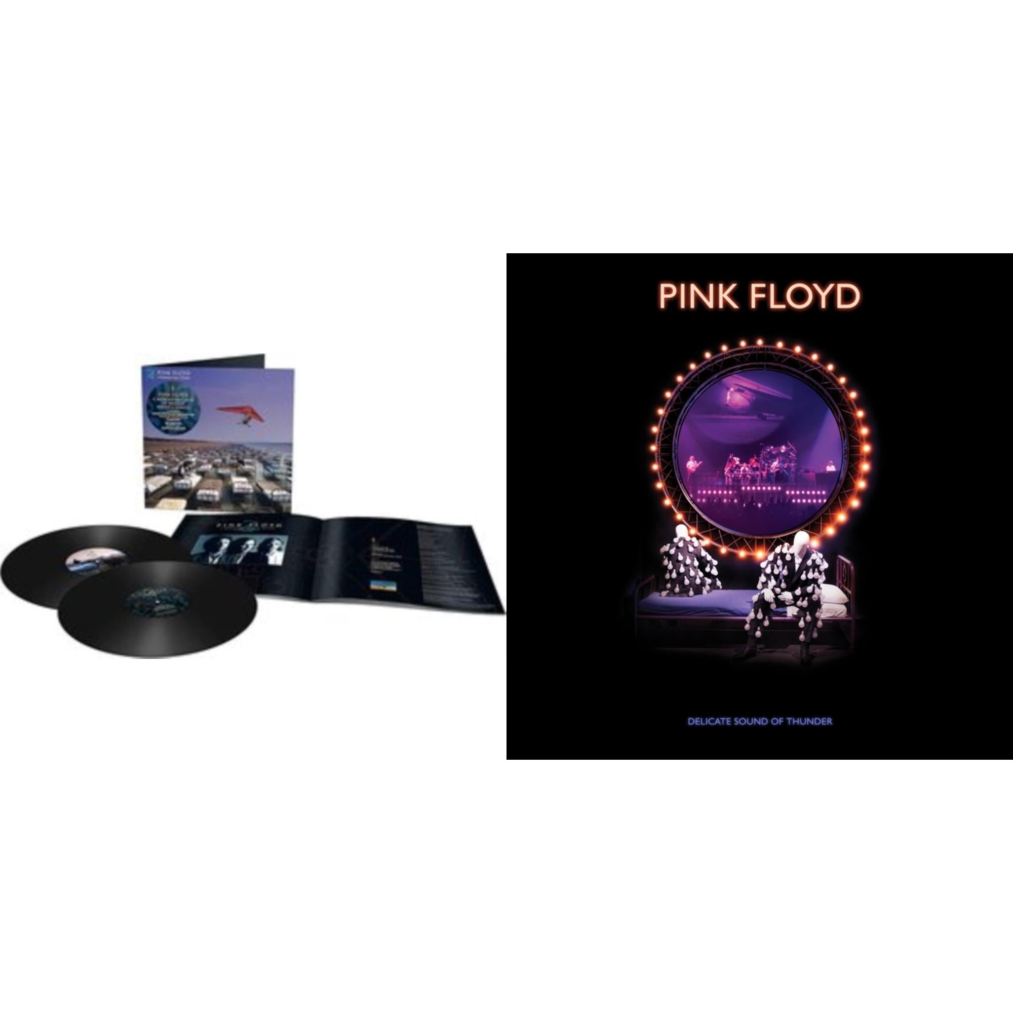Momentary Lapse Of Reason (Remixed & Updated) (2LP/180G) & Delicate Sound Of Thunder (3LP)
