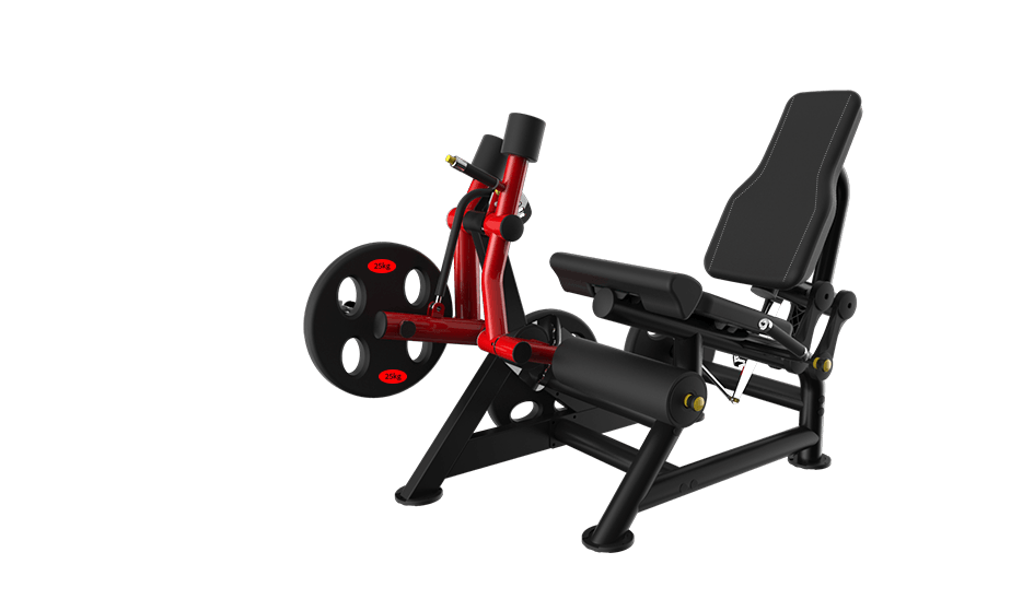 Power Leverage V2  Leg Extension - Muscle D Fitness