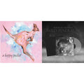 Happy Pocket (2LP) & Wild Pendulum (Silver LP Vinyl/Numbered)