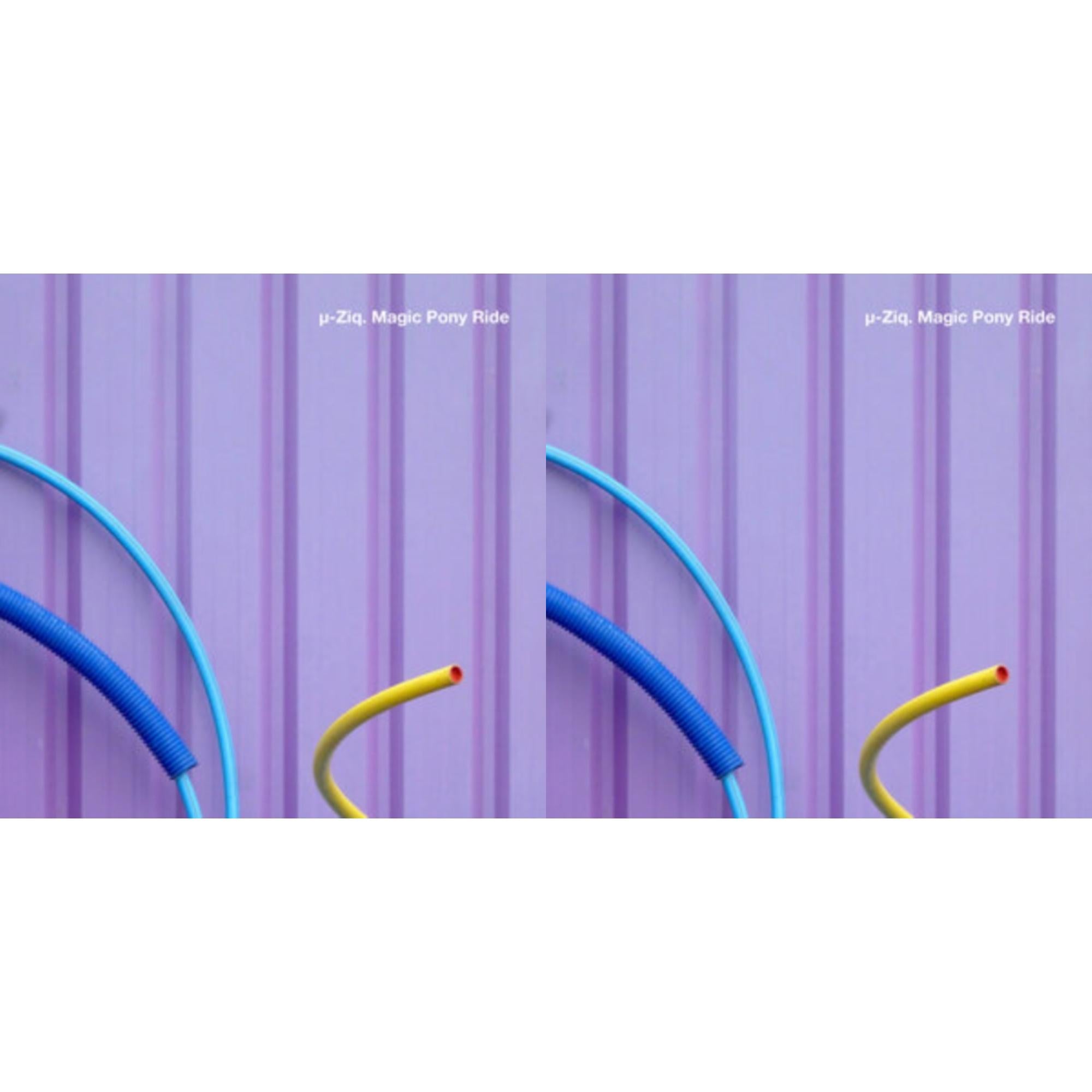 Magic Pony Ride (2LP) & Magic Pony Ride (2LP)