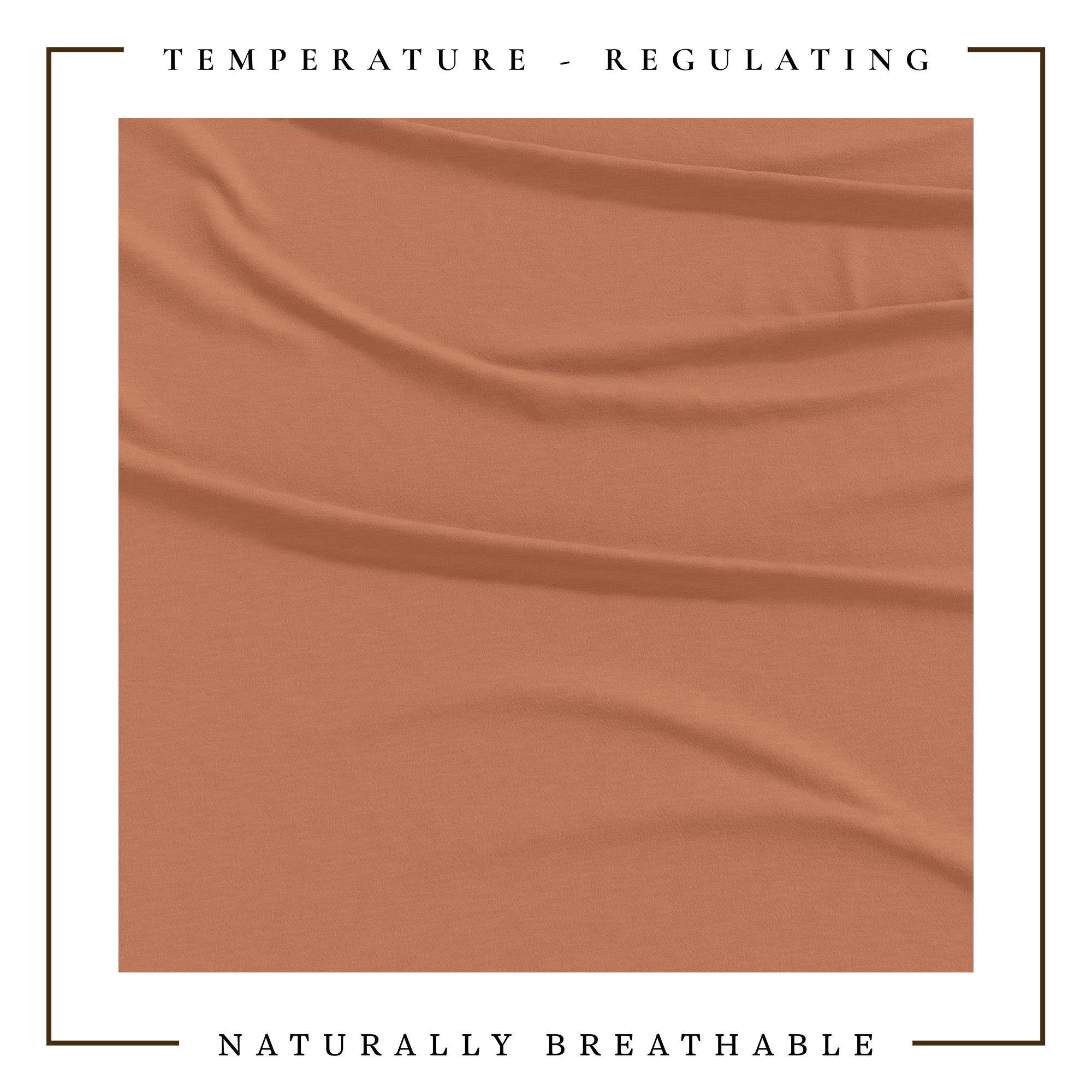 4-Piece Jersey Sheet - Carmen Collection