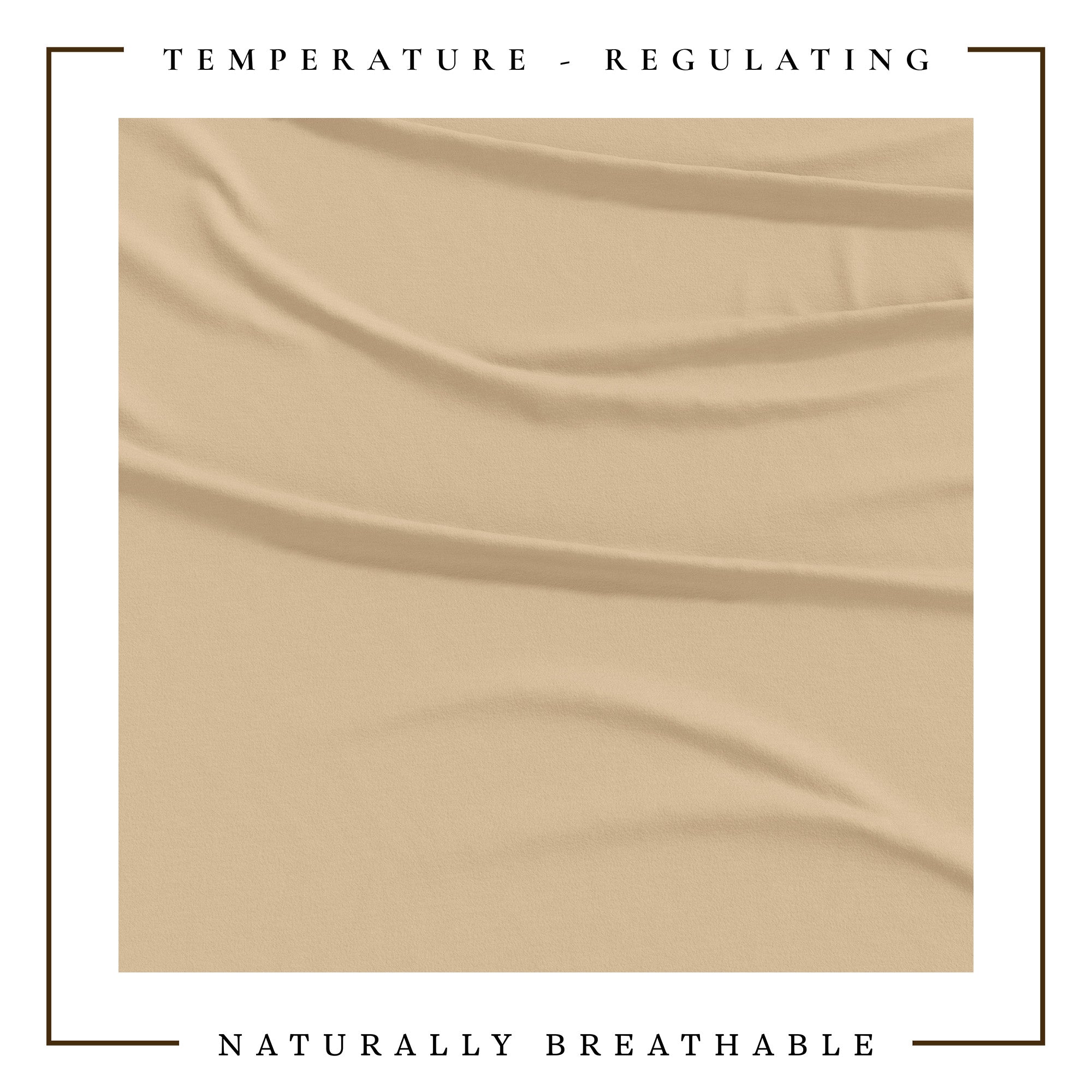 4-Piece Jersey Sheet - Carmen Collection