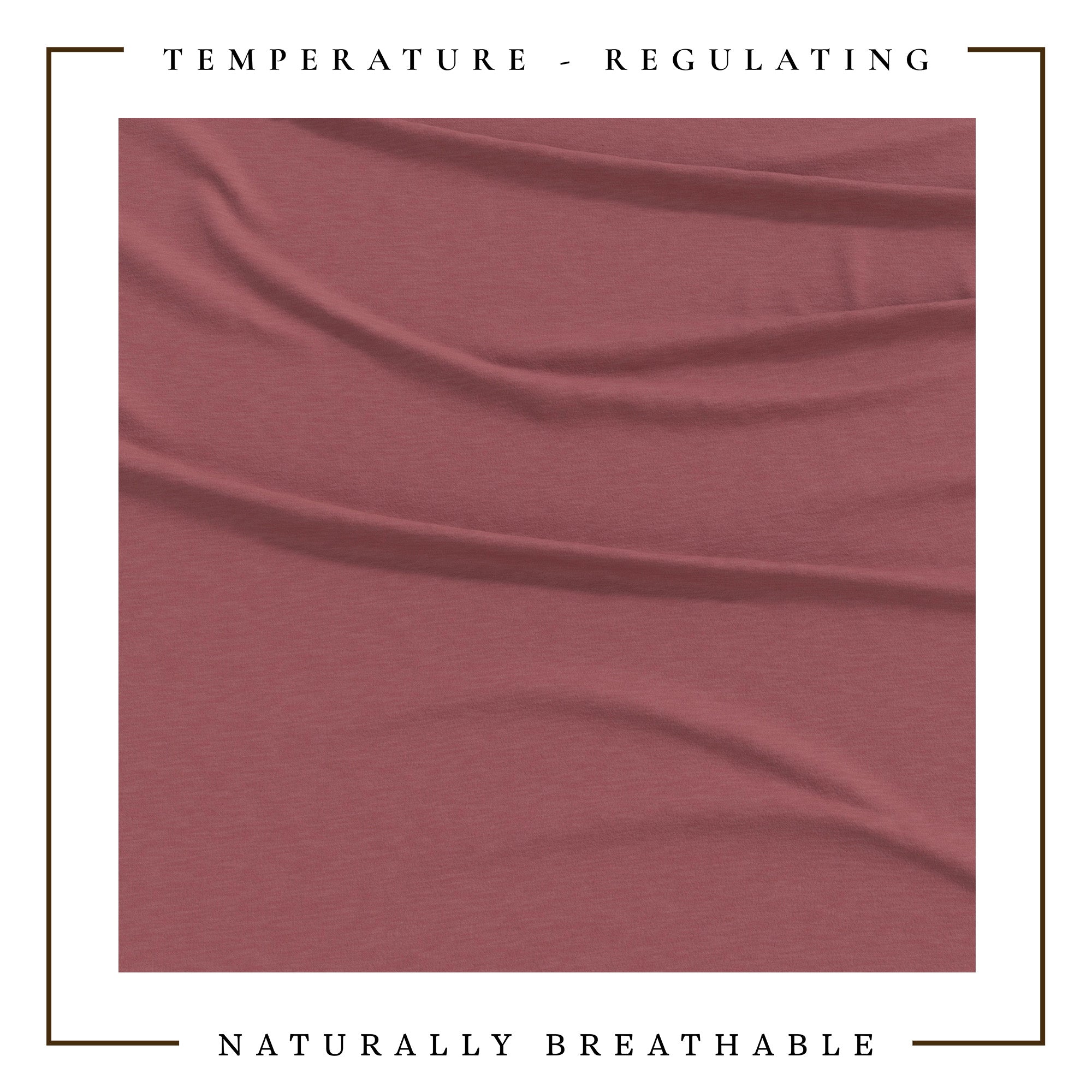 4-Piece Jersey Sheet - Carmen Collection